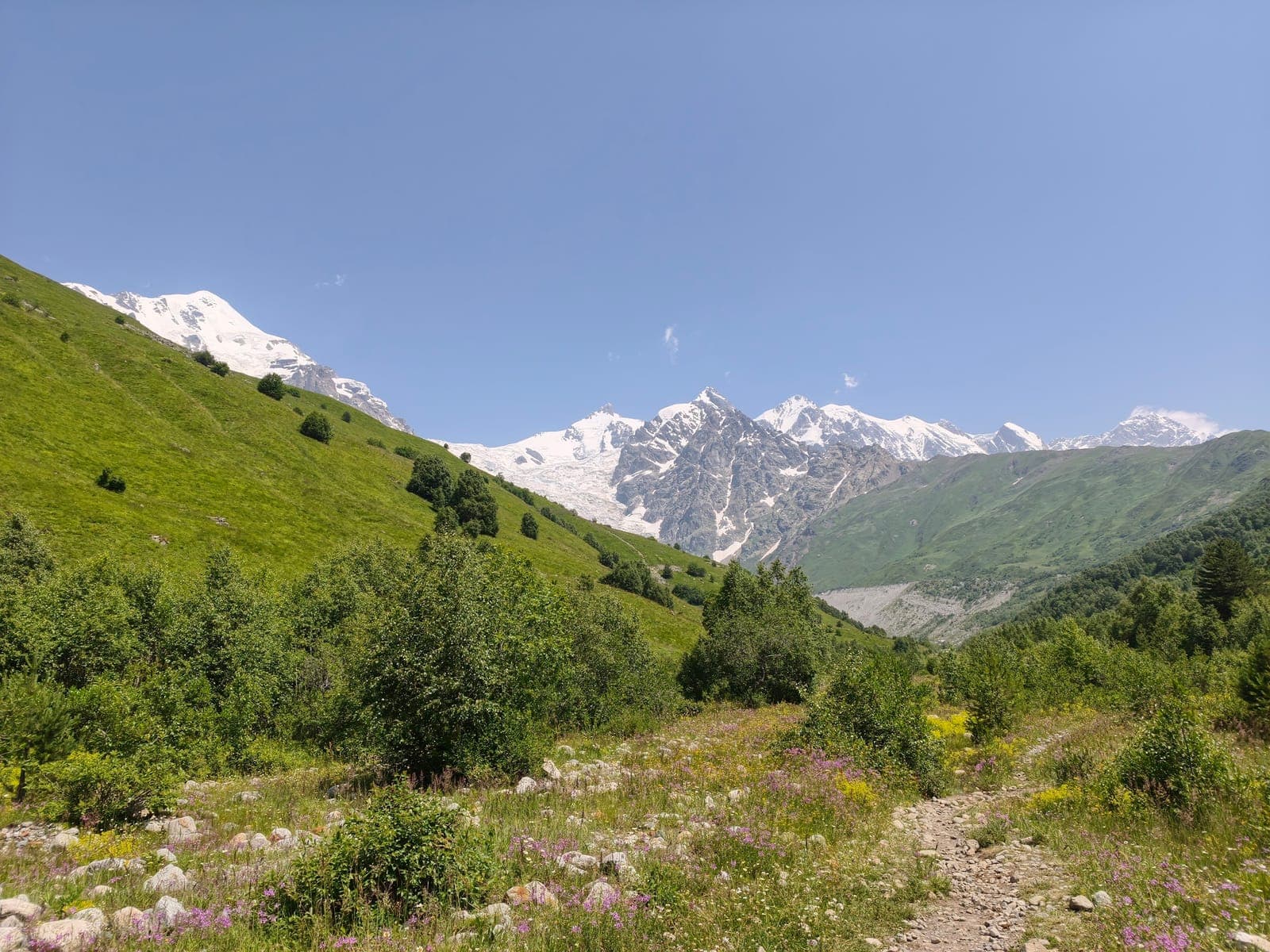 Adishi — photo 1